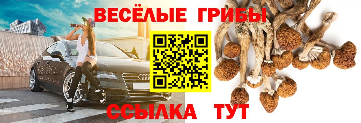 Псилоцибиновые грибы мицелий Чусовой